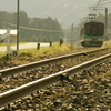 TRAIN