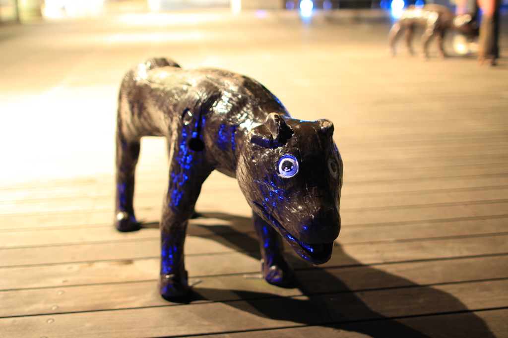 DOG?