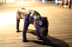 DOG?