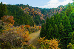 紅の里