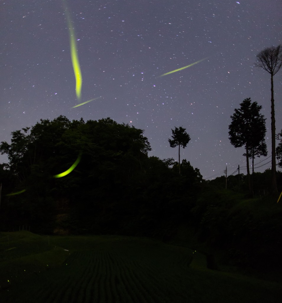 『夏のはじまり』