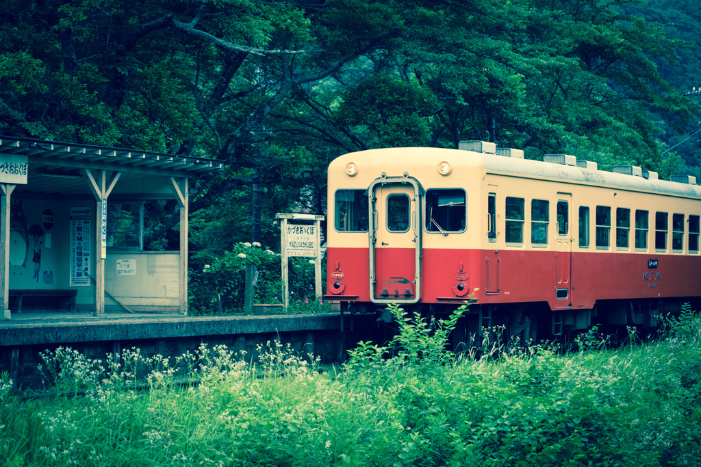 『トトロがいる駅』