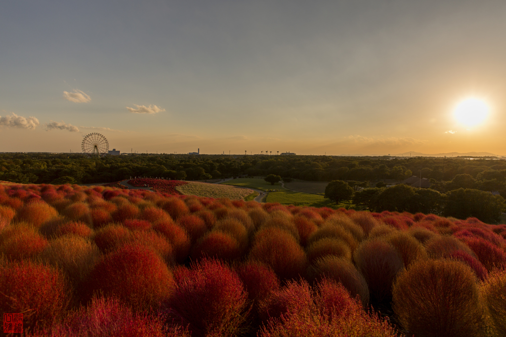『ひたちの夕日』