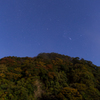 『月光秋模様』