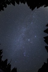 ミルキーウェイ