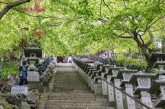『新緑大山』