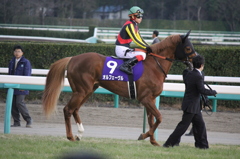 有馬記念