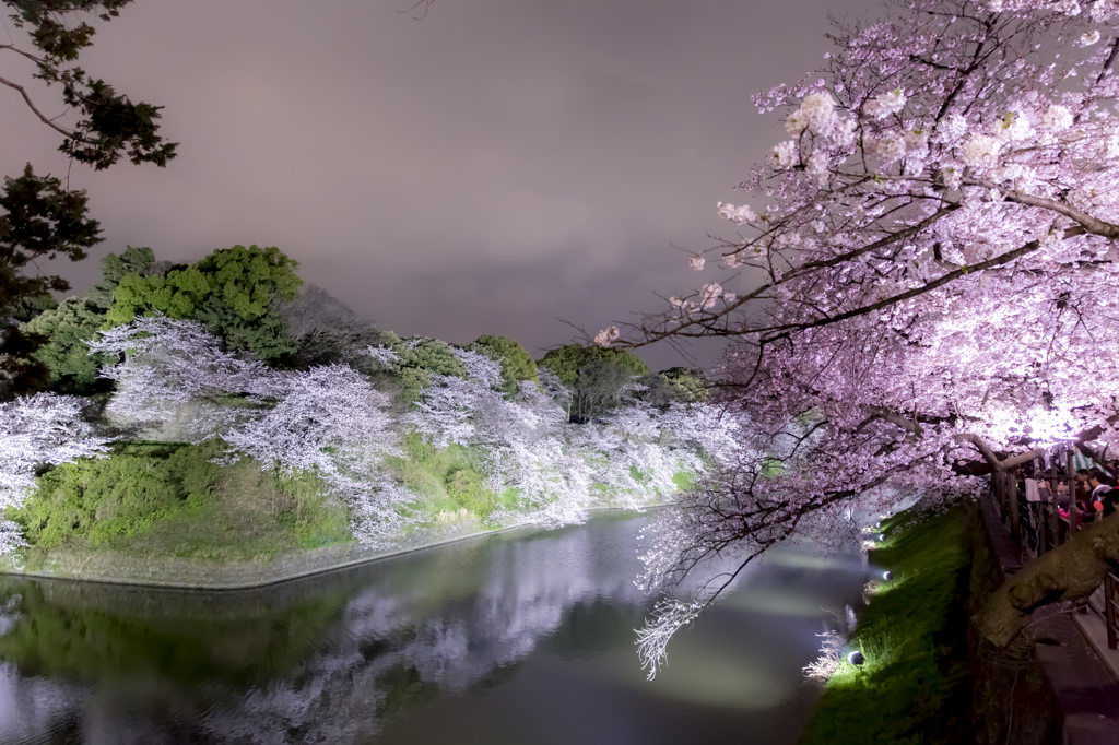 『千鳥ヶ淵』