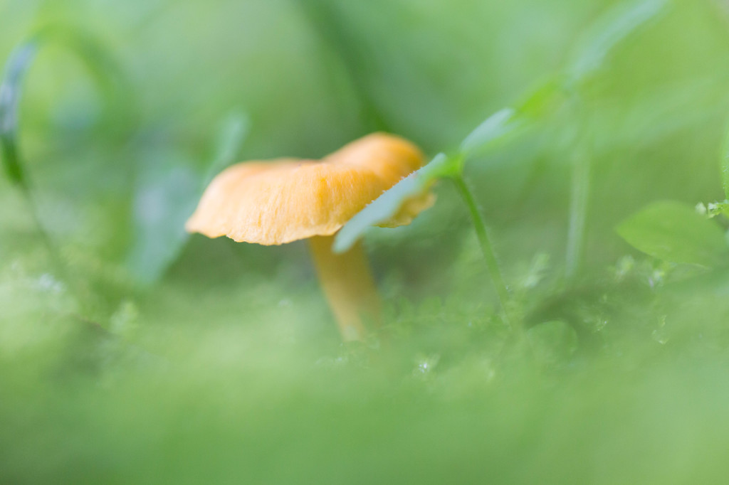 『小さな世界』