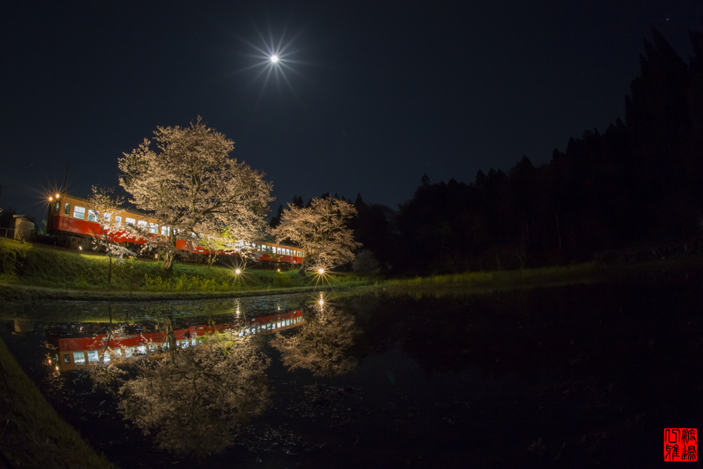 『桜ぽっぽ２』