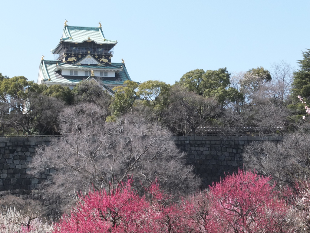 大阪城梅林から望む天守閣　