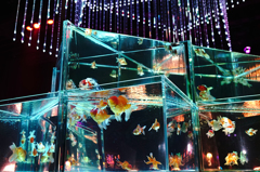 15:08:21 Art Aquarium No.1