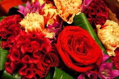 2012:10:10 Flowers