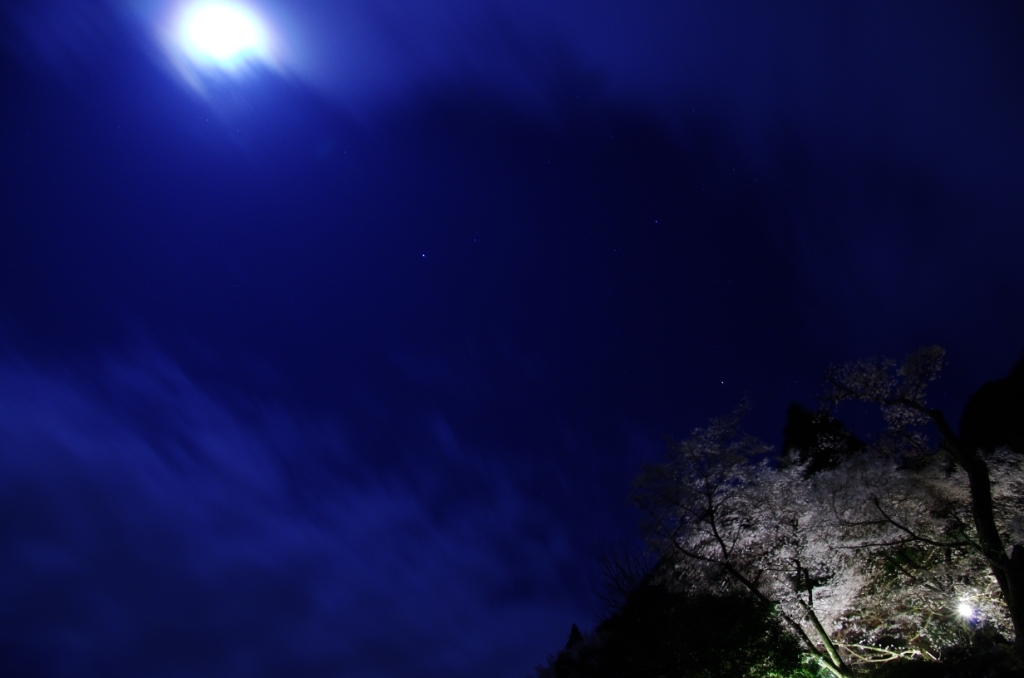 月と夜桜