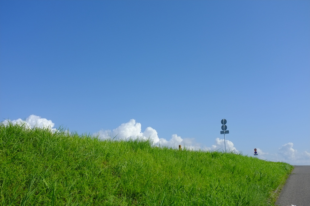 晩夏