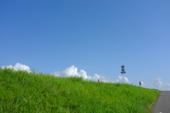晩夏
