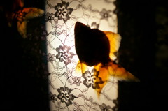 金魚と灯篭