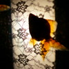 金魚と灯篭