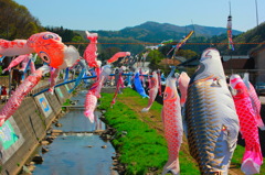 鯉泳ぎ