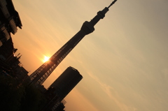 夕日
