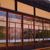 窓の桜