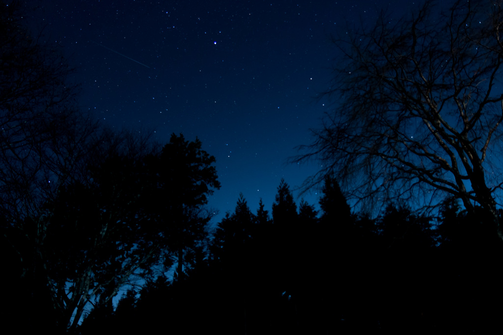 奈良の星空