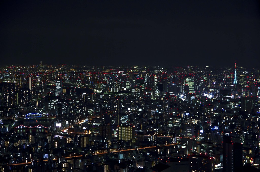 スカイツリーからみた夜景