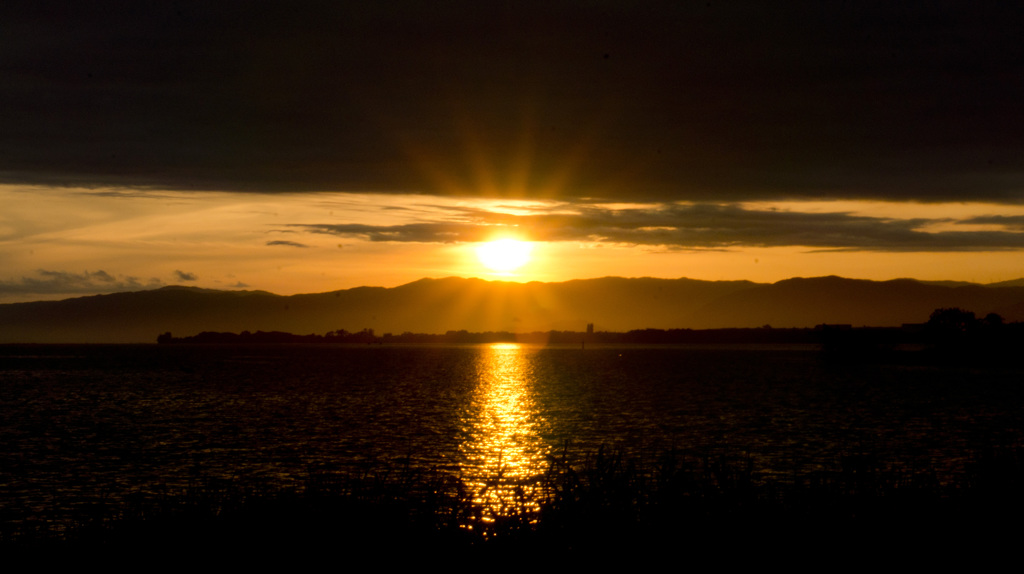 DSC04423151