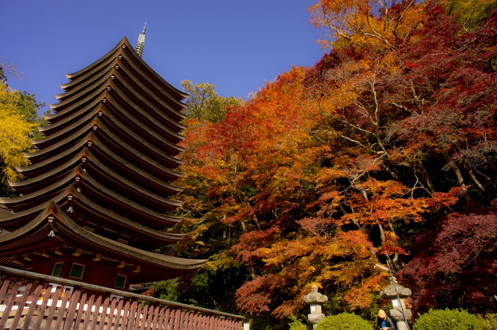 談山神社より