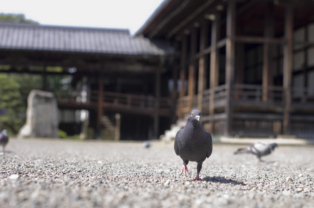 ちょっとそこまで