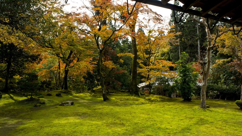 紅葉の季節が