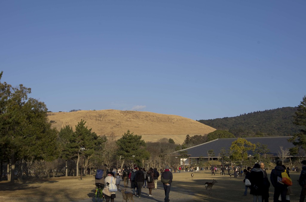 若草山燃える前