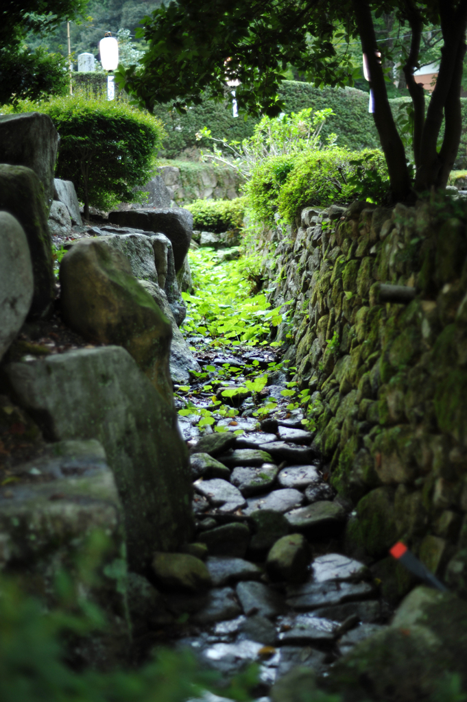 山寺の溝