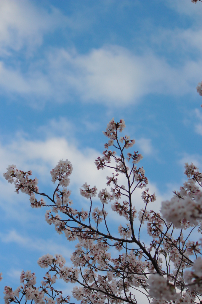 青空
