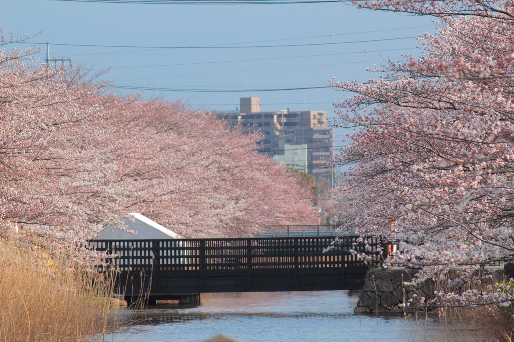 お気に入りの場所
