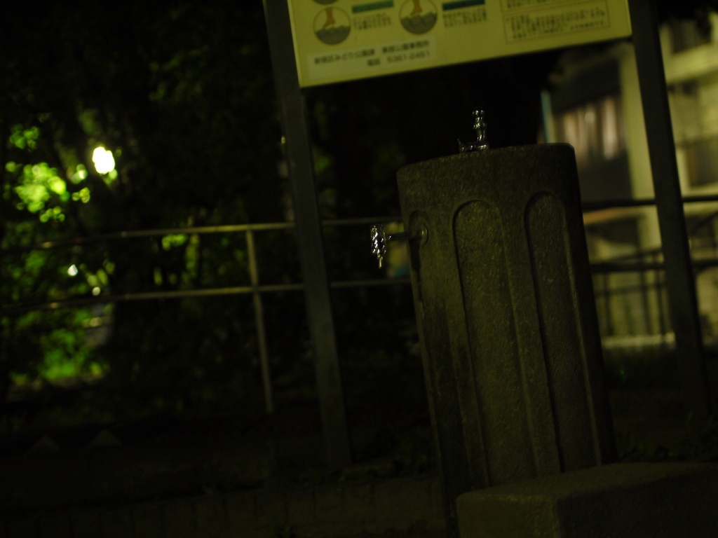 夜散歩6