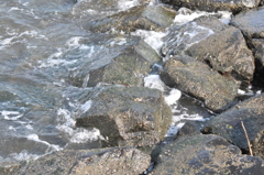 城南島４