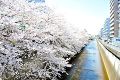 石神井川