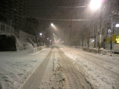 地元の雪景色