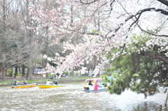 石神井公園