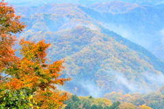 DSC_0058高尾山