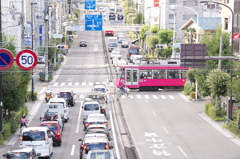玉電若林