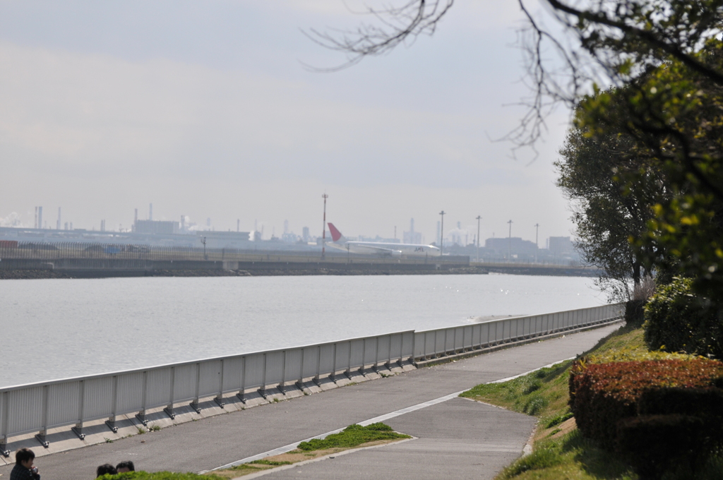 京浜島つばさ公園