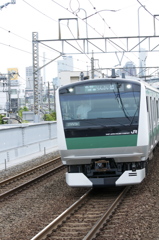 地元