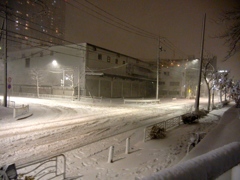 地元の雪景色2