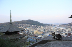ザ　尾道