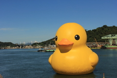 ひよ子の力