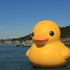 ひよ子の力