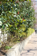 道