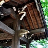 妙蓮寺　＃2